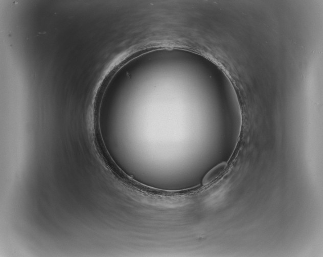 X0000112140008200908071105