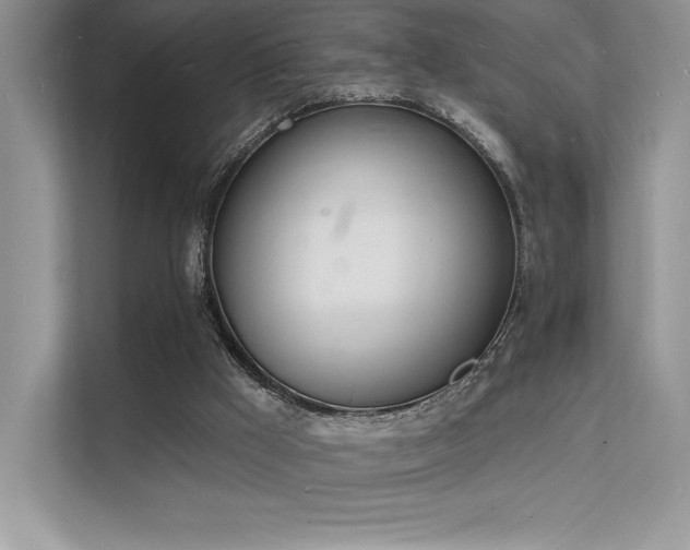X0000112140009200908071105