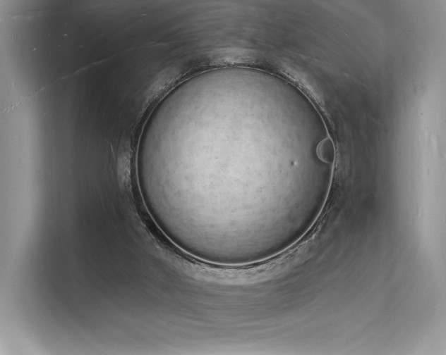 X0000112140010200908071105