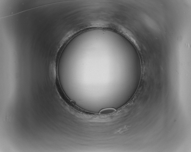 X0000112140011200908071105