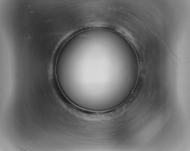 X0000112140012200908071105