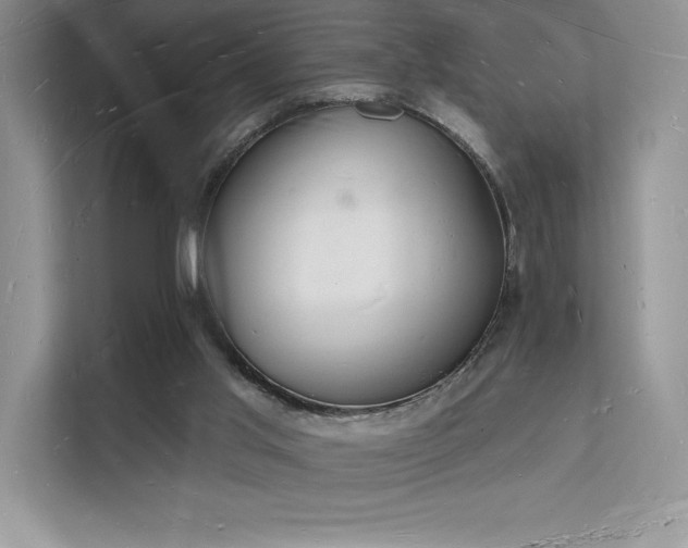 X0000112140013200908071105
