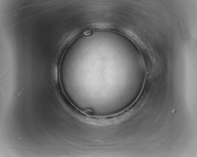 X0000112140014200908071105