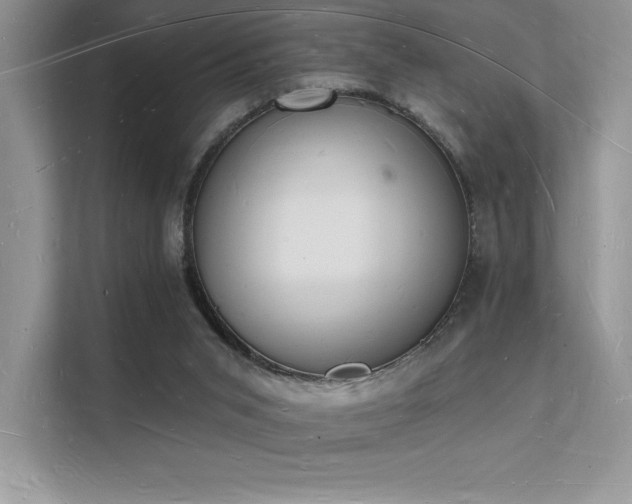 X0000112140015200908071105