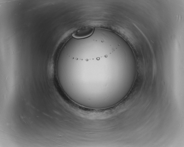 X0000112140016200908071105