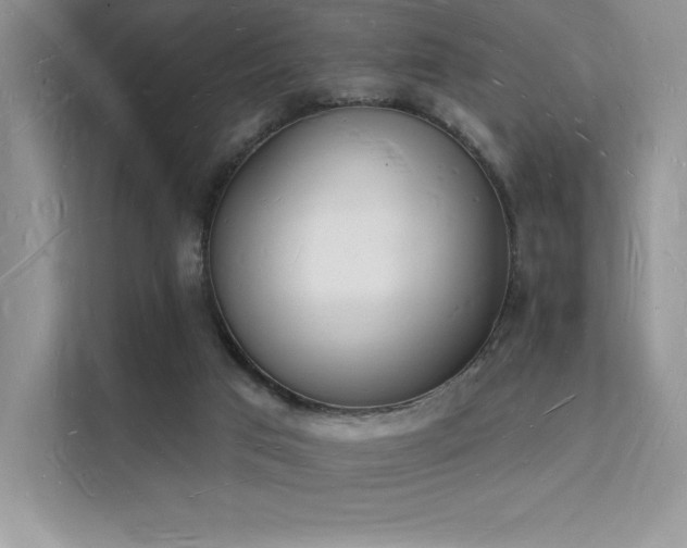 X0000112140017200908071105