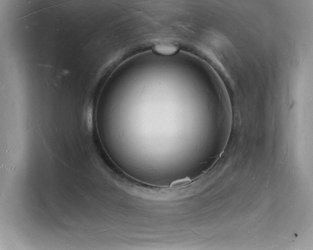 X0000112140019200908071105