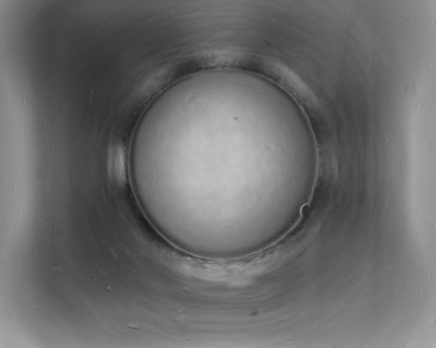 X0000112140022200908071105