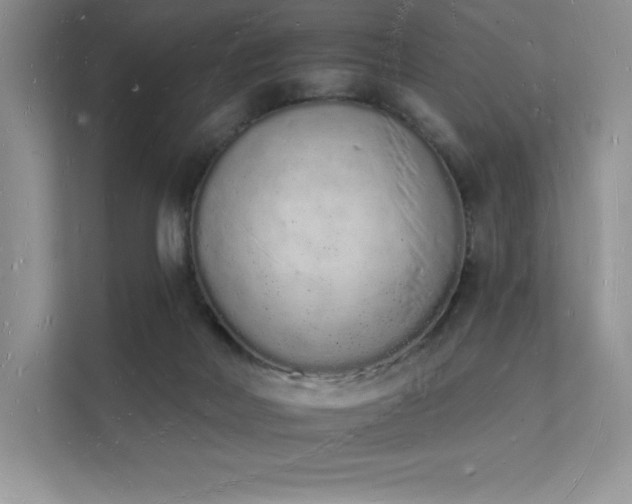 X0000112140026200908071105