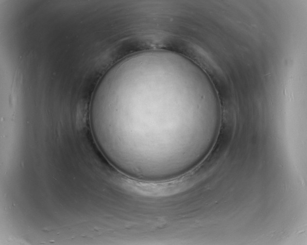 X0000112140030200908071105