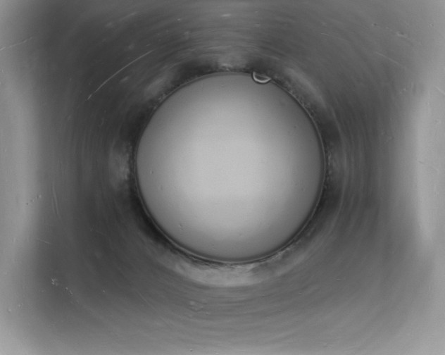 X0000112140032200908071105