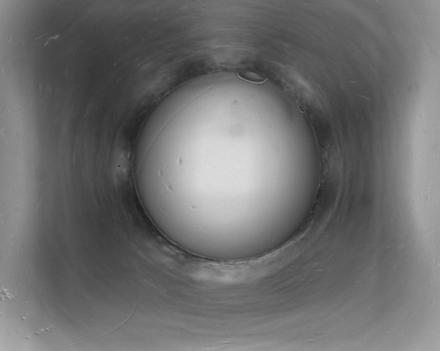 X0000112140033200908071105