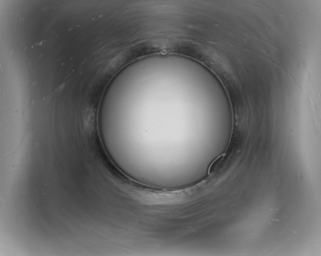 X0000112140036200908071105