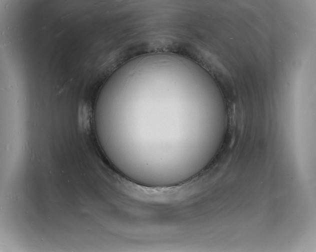 X0000112140038200908071105