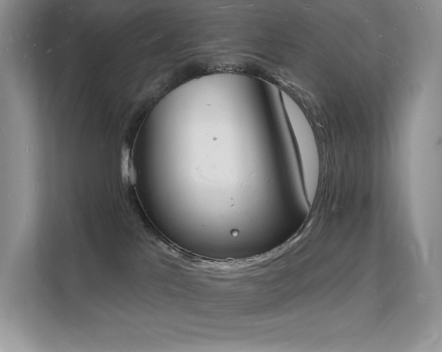 X0000112140041200908071105