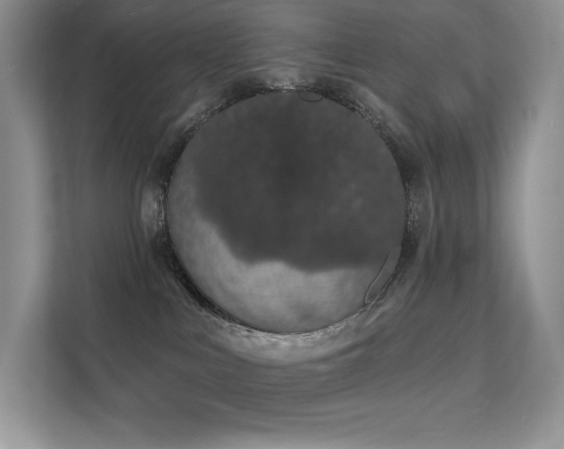 X0000112140043200908071105