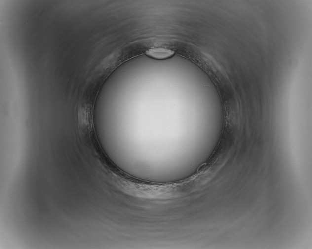 X0000112140044200908071105