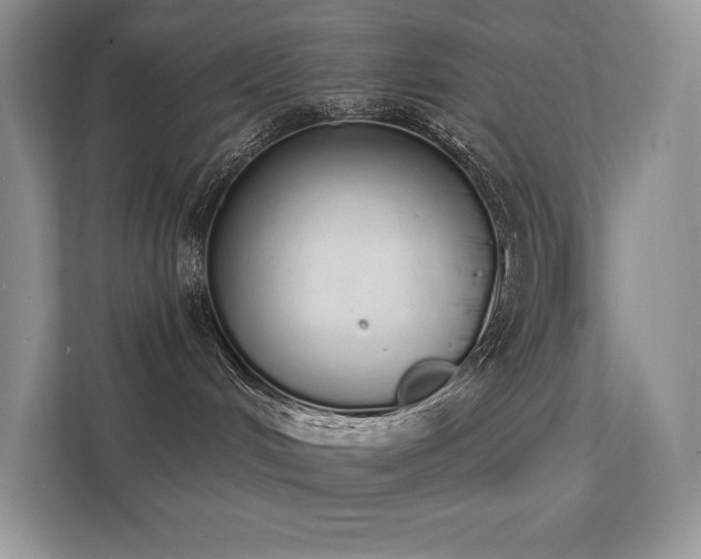 X0000112140048200908071104