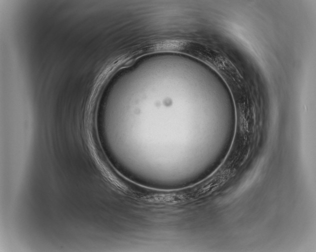 X0000112140049200908071104