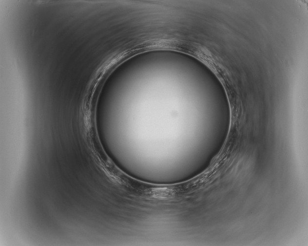 X0000112140050200908071104