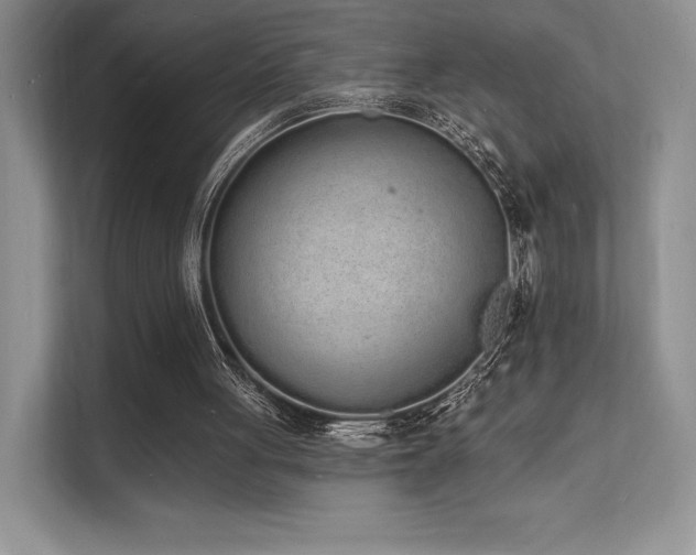 X0000112140051200908071104