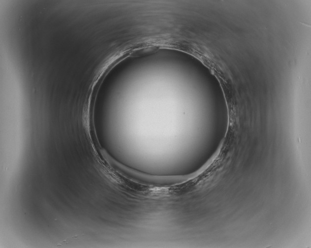X0000112140052200908071104