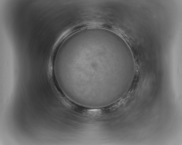 X0000112140053200908071104