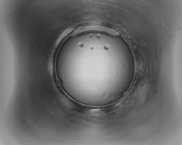 X0000112140054200908071104