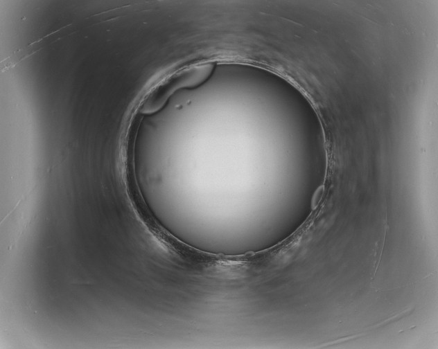 X0000112140055200908071104