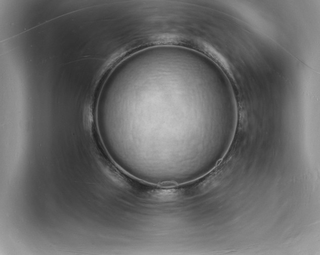 X0000112140059200908071104