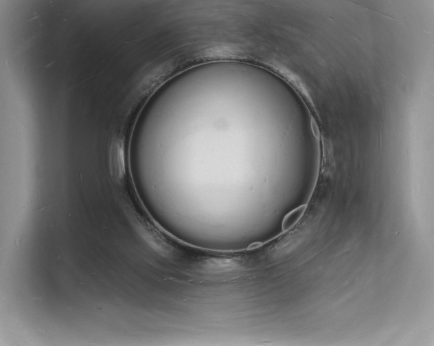 X0000112140061200908071104