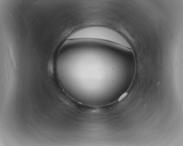 X0000112140068200908071104