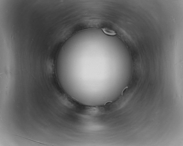 X0000112140083200908071104