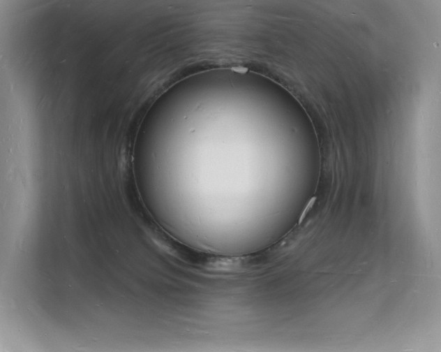 X0000112140084200908071104