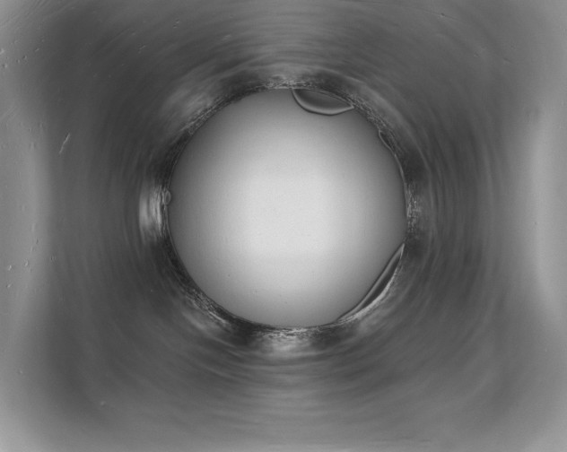 X0000112140094200908071104