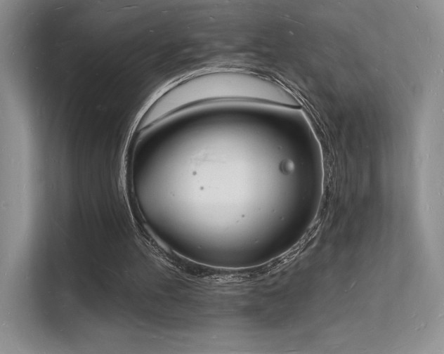 X0000112140100200908071104