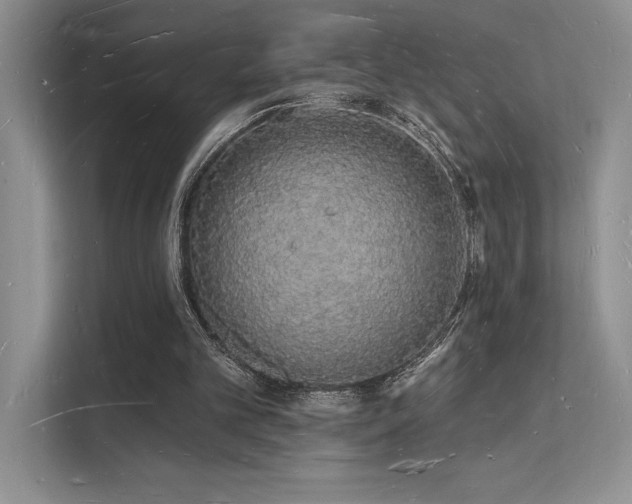 X0000112140101200908071104