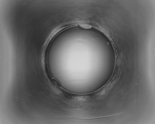 X0000112140103200908071104