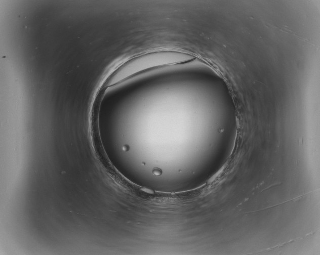 X0000112140104200908071104