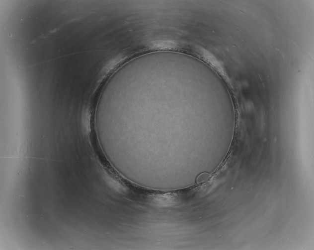 X0000112140106200908071104