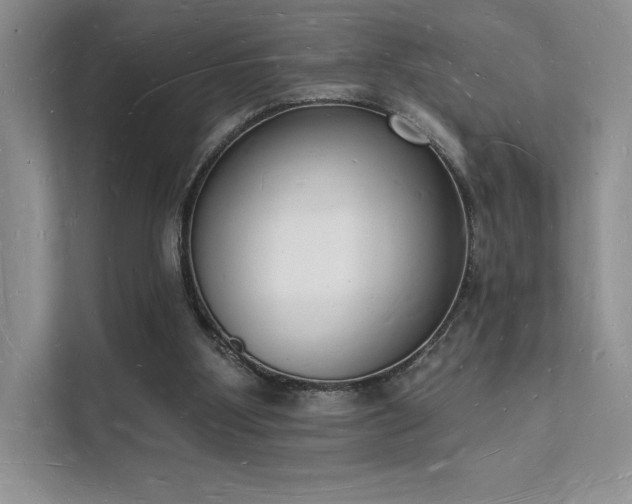 X0000112140107200908071104