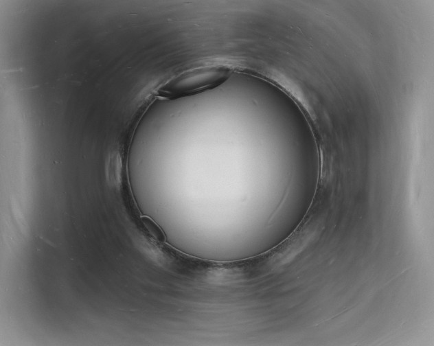 X0000112140109200908071104