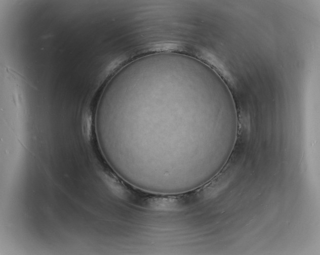 X0000112140110200908071104