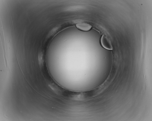 X0000112140116200908071104