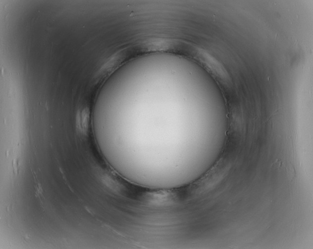 X0000112140118200908071104