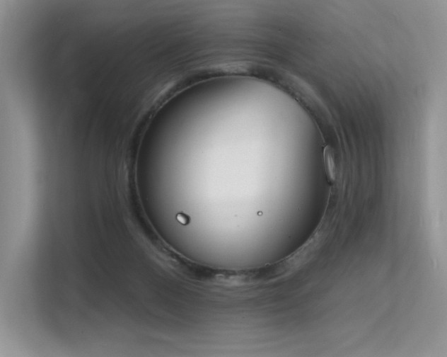 X0000112140120200908071104