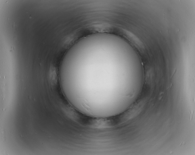 X0000112140121200908071104