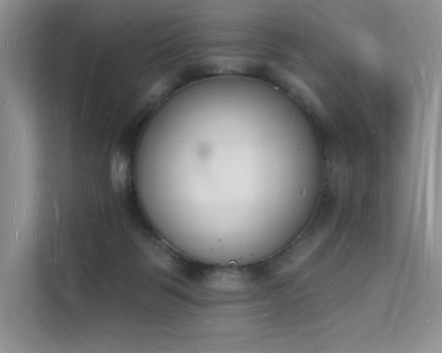 X0000112140123200908071103