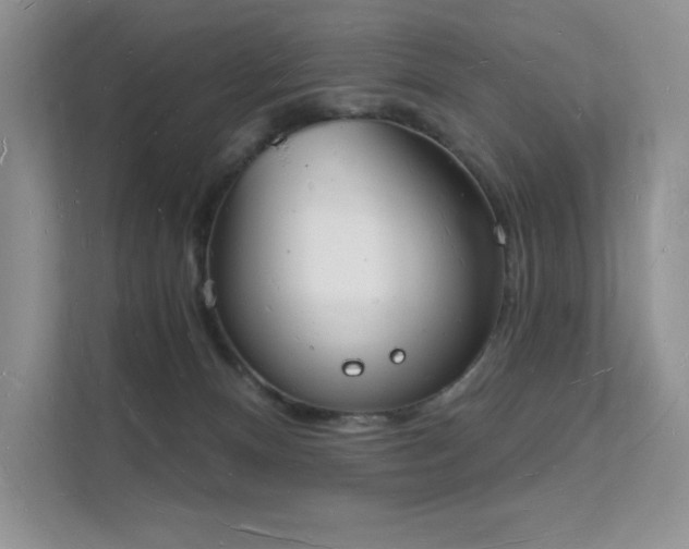 X0000112140128200908071103