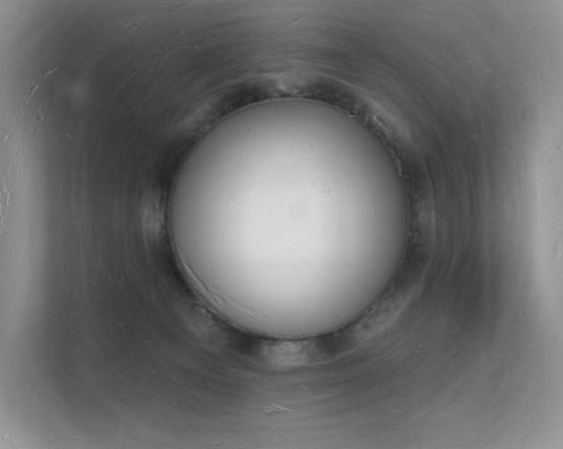 X0000112140129200908071103